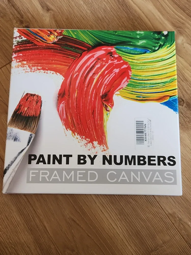 Paint By Numbers Framed Canvas Kit - New