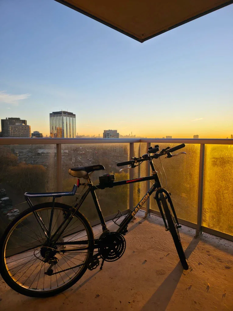 Raleigh Mountain Bike