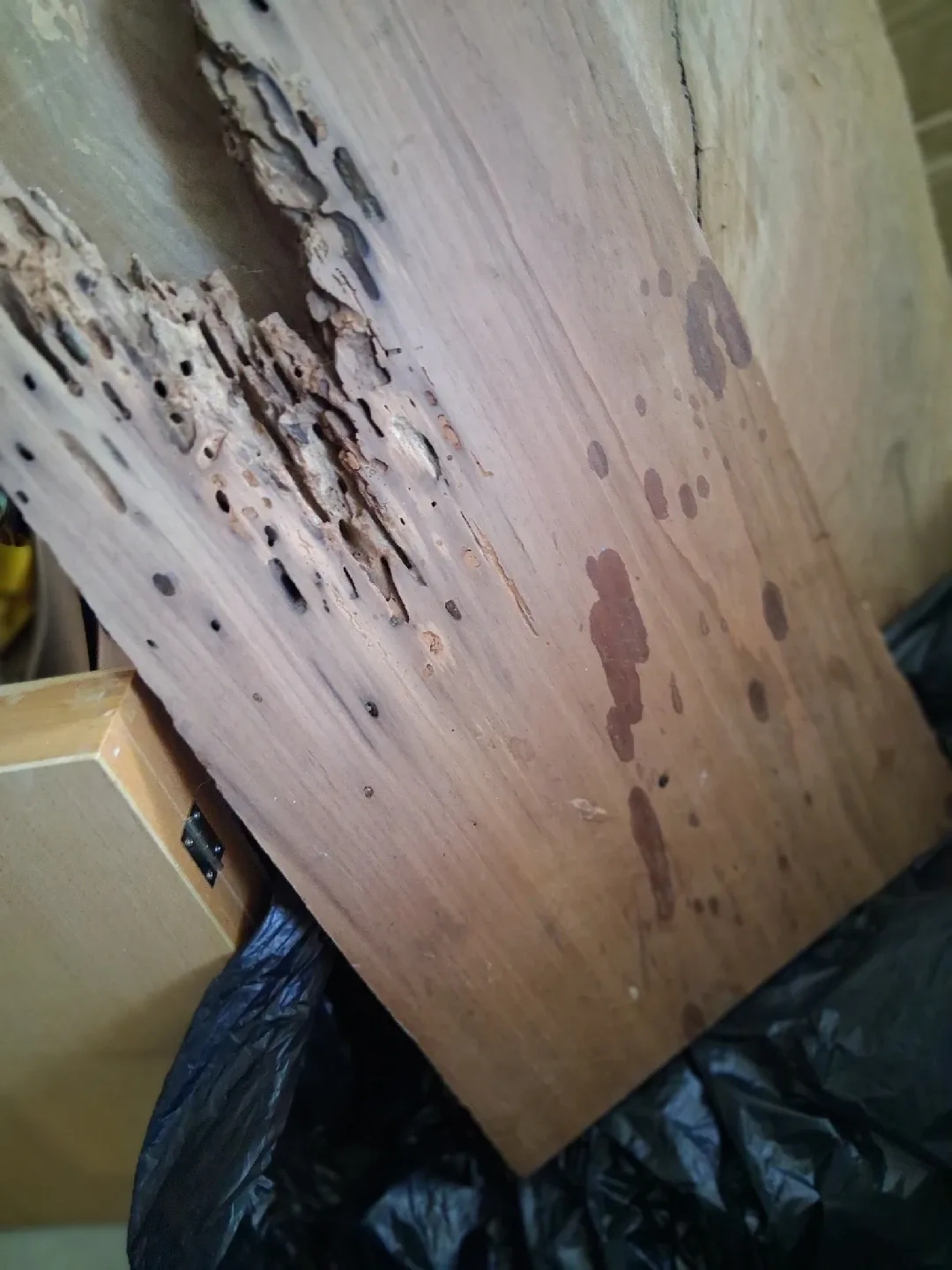 Live edge wood image indicator(2)