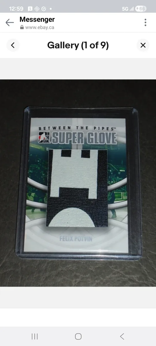 2009 in the game, super glove Relic, Felix Potvin, Maple Leafs