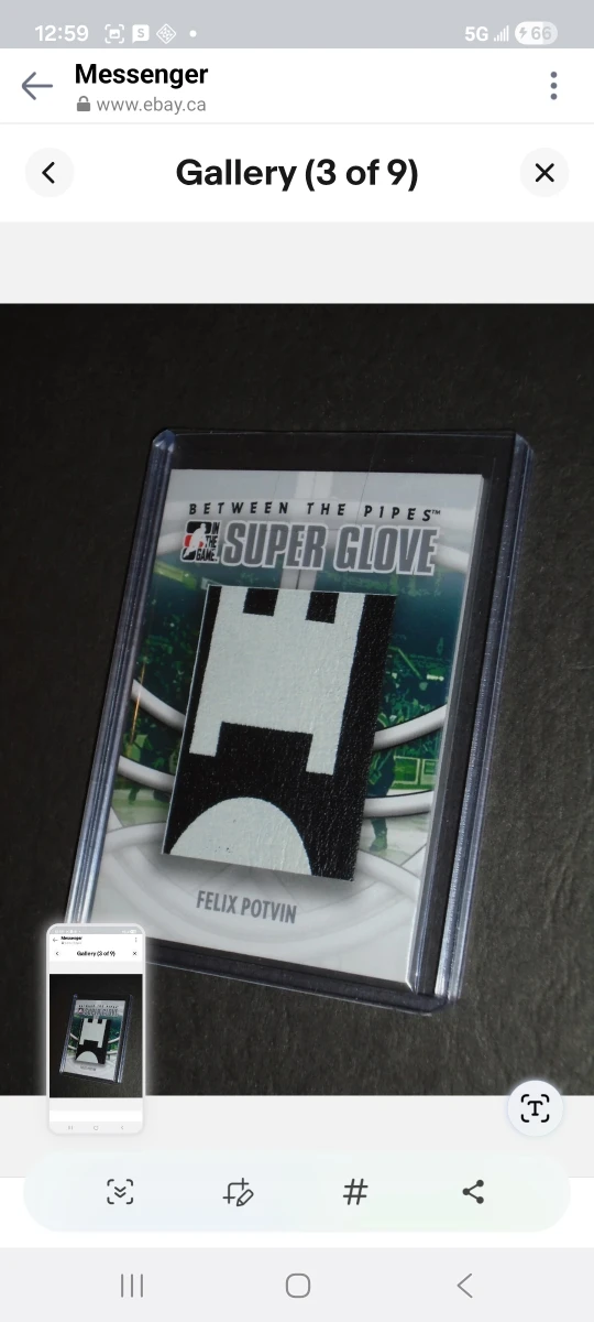 2009 in the game, super glove Relic, Felix Potvin, Maple Leafs - photo 2