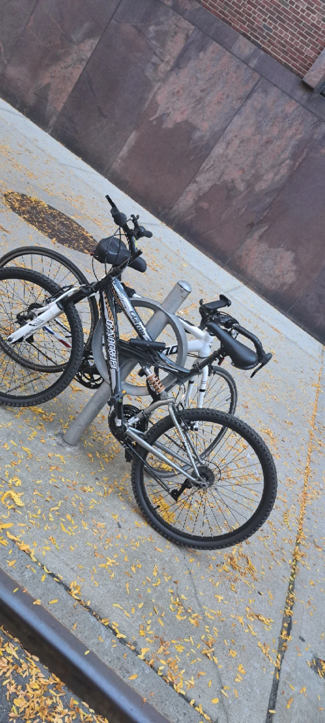 Diamondback Mountain Bike - photo 3