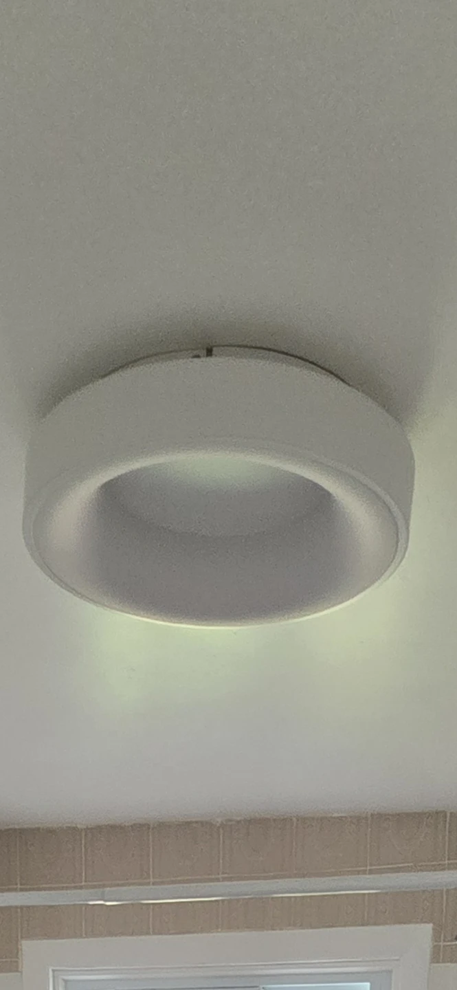 White Ceiling LED Light Fixture