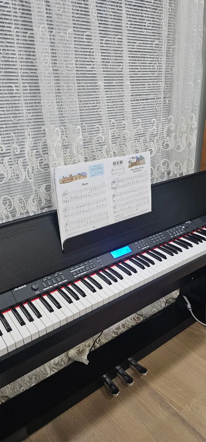 Alesis Digital Piano image indicator(2)