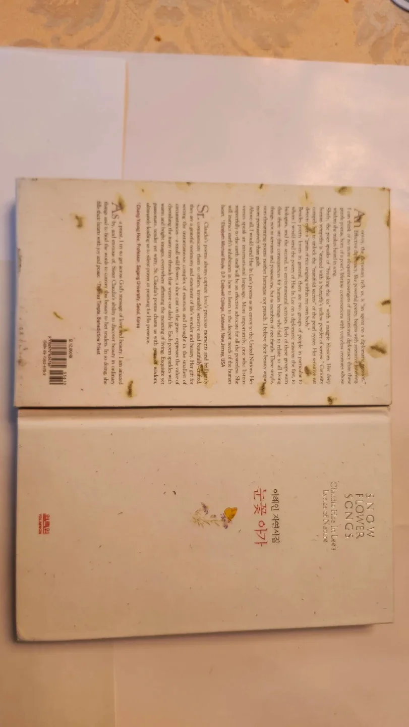 Brand New Snow Flower Songs by Claudia Hae-in Lee image indicator(3)