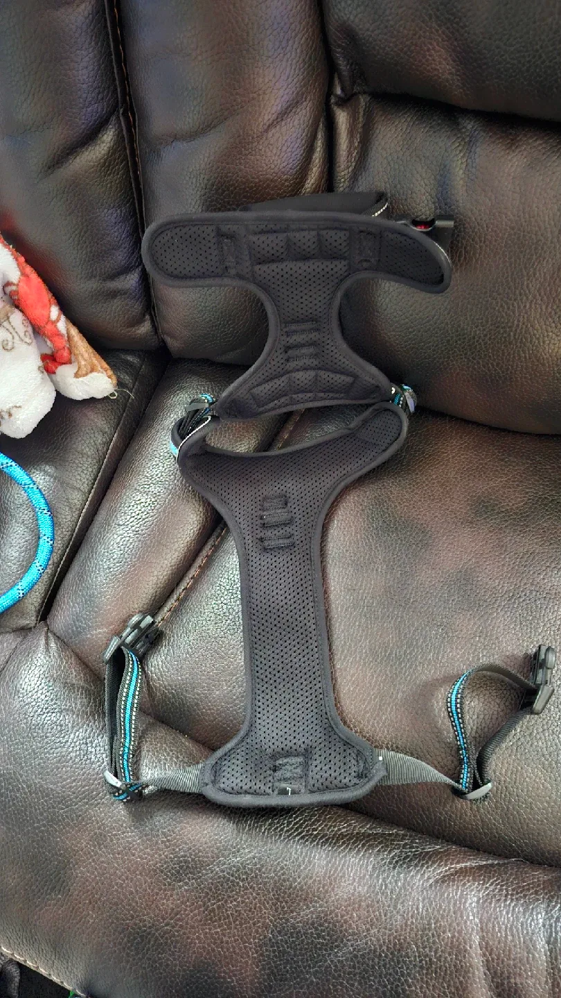 TobeDri Dog Harness & Leash Set- Size Large image indicator(2)