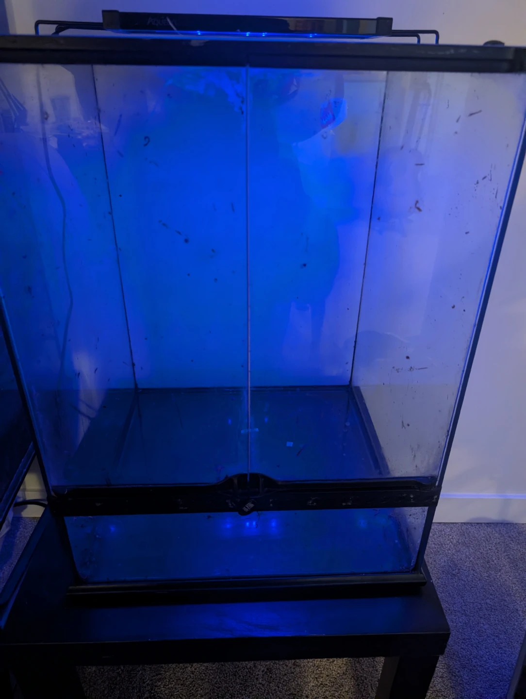 Glass Terrarium 24x18x24 inch - photo 2