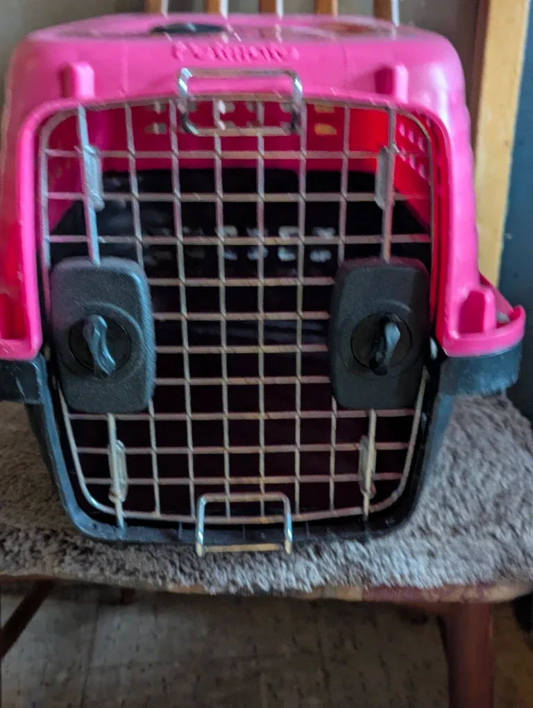 Petmate Pink & Black Pet Carrier