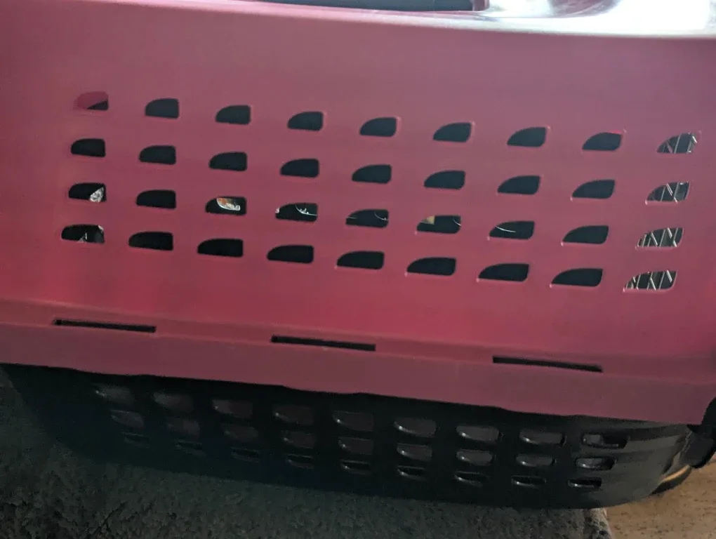 Petmate Pink & Black Pet Carrier image indicator(3)