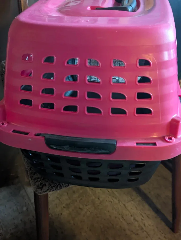 Petmate Pink & Black Pet Carrier image indicator(4)