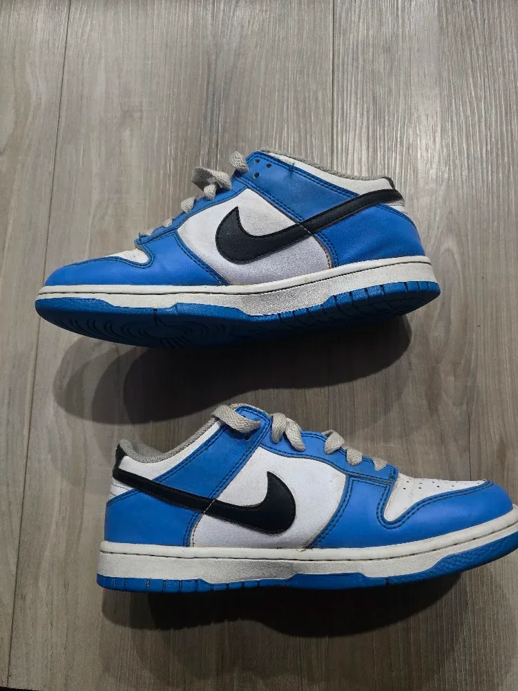 Nike Dunk Low Blue/White Sneakers