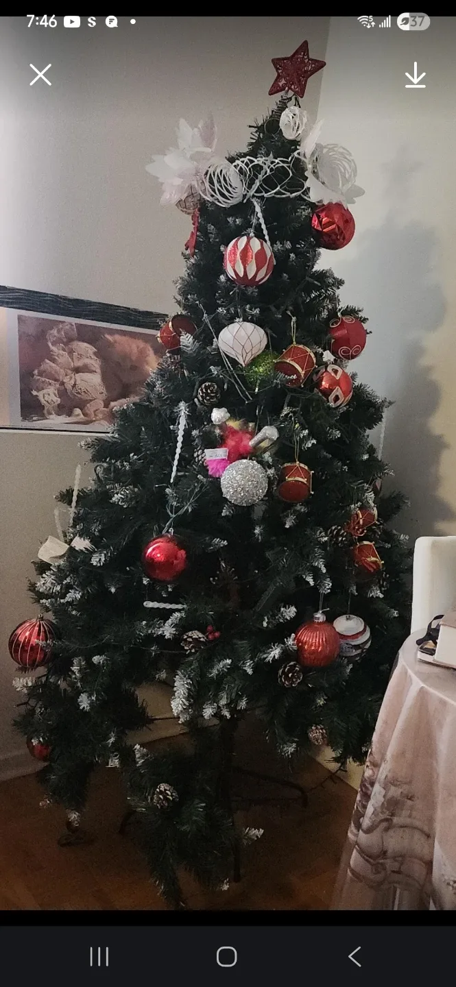 Decorated Christmas Tree image indicator(2)