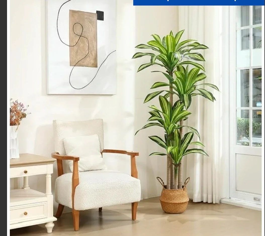 6ft Artificial Dracaena Plant image indicator(4)