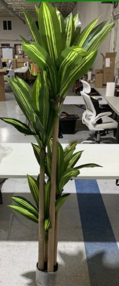 6ft Artificial Dracaena Plant image indicator(8)