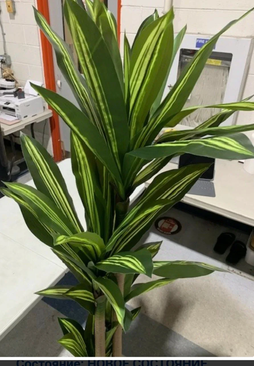 6ft Artificial Dracaena Plant image indicator(9)