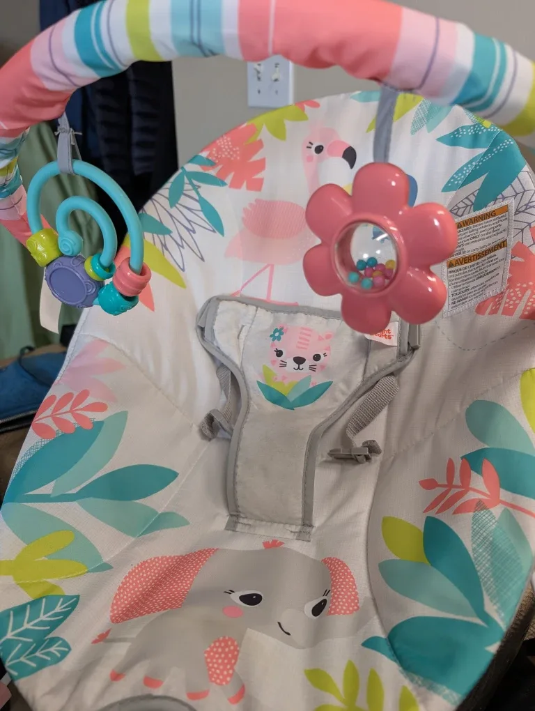 Bright Starts Baby Bouncer Seat image indicator(2)