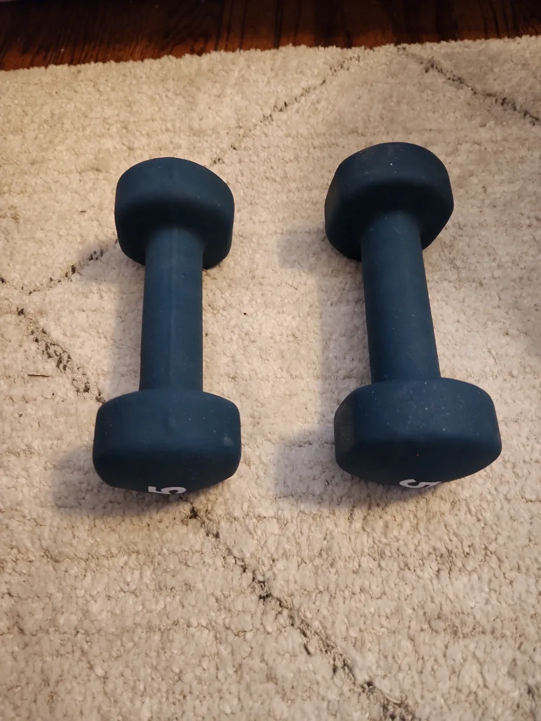 Pair of 5lb Dumbbells