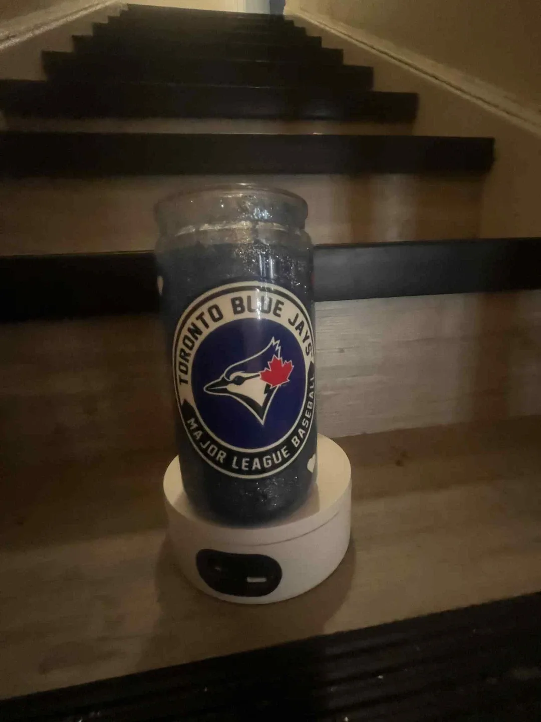 Toronto Blue Jays  Snowglobe image indicator(2)