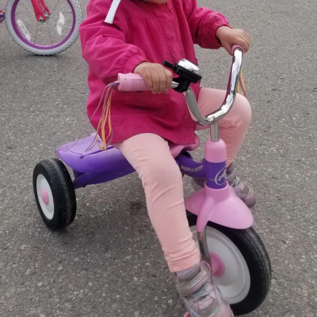 Radio Flyer Pink & Purple Tricycle image indicator(5)