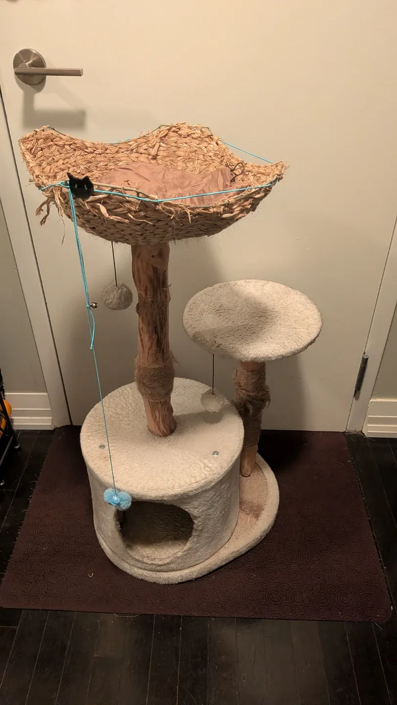 CatIt Litter Box & Wood Cat Cave, BONUS Tree/Fountain (read ad) image indicator(3)
