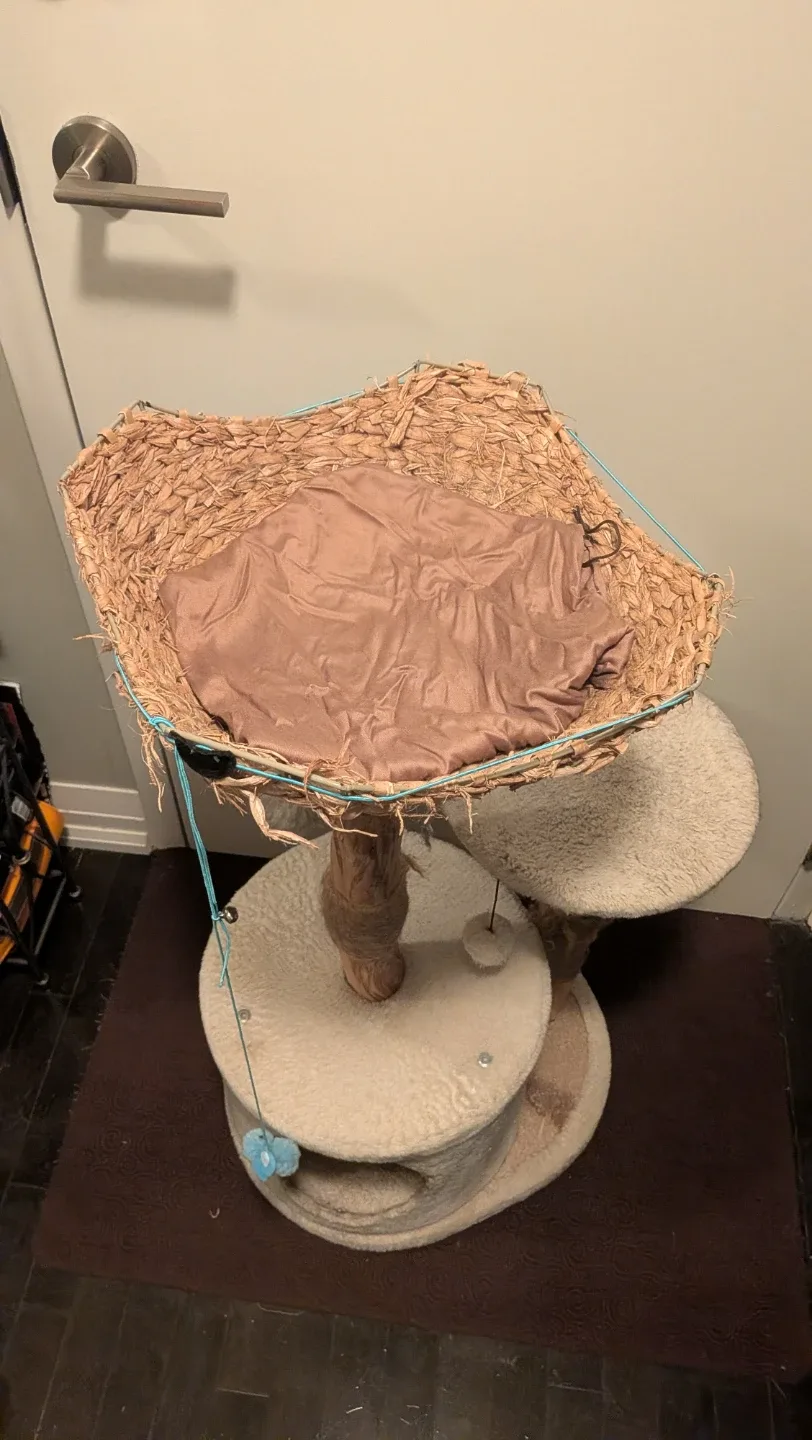 CatIt Litter Box & Wood Cat Cave, BONUS Tree/Fountain (read ad) image indicator(4)