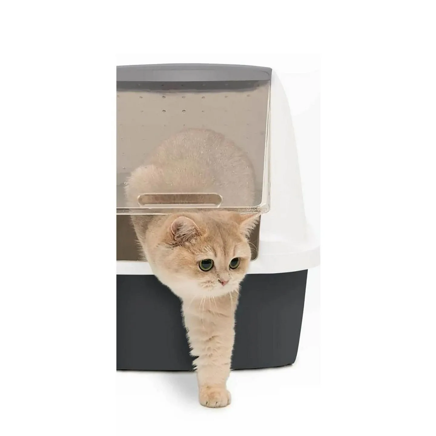 CatIt Litter Box & Wood Cat Cave, BONUS Tree/Fountain (read ad) image indicator(9)