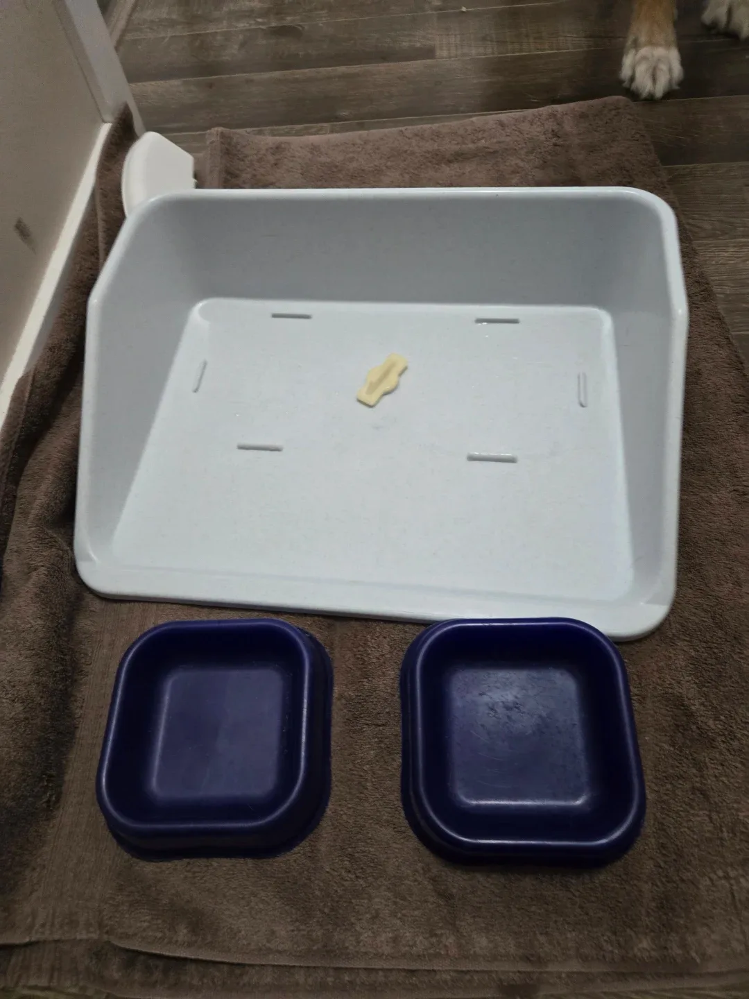 Pet Feeding Tray with Bowls image indicator(3)