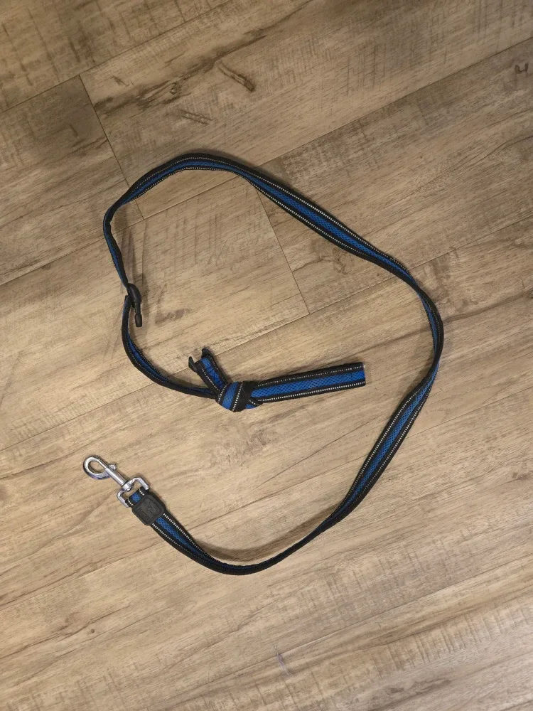Blue & Black Adjustable Dog Leash