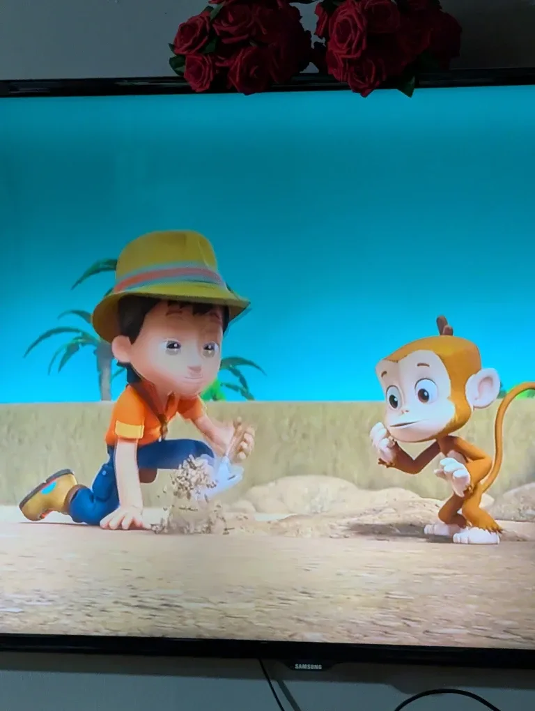 Samsung 60inch tv image indicator(3)