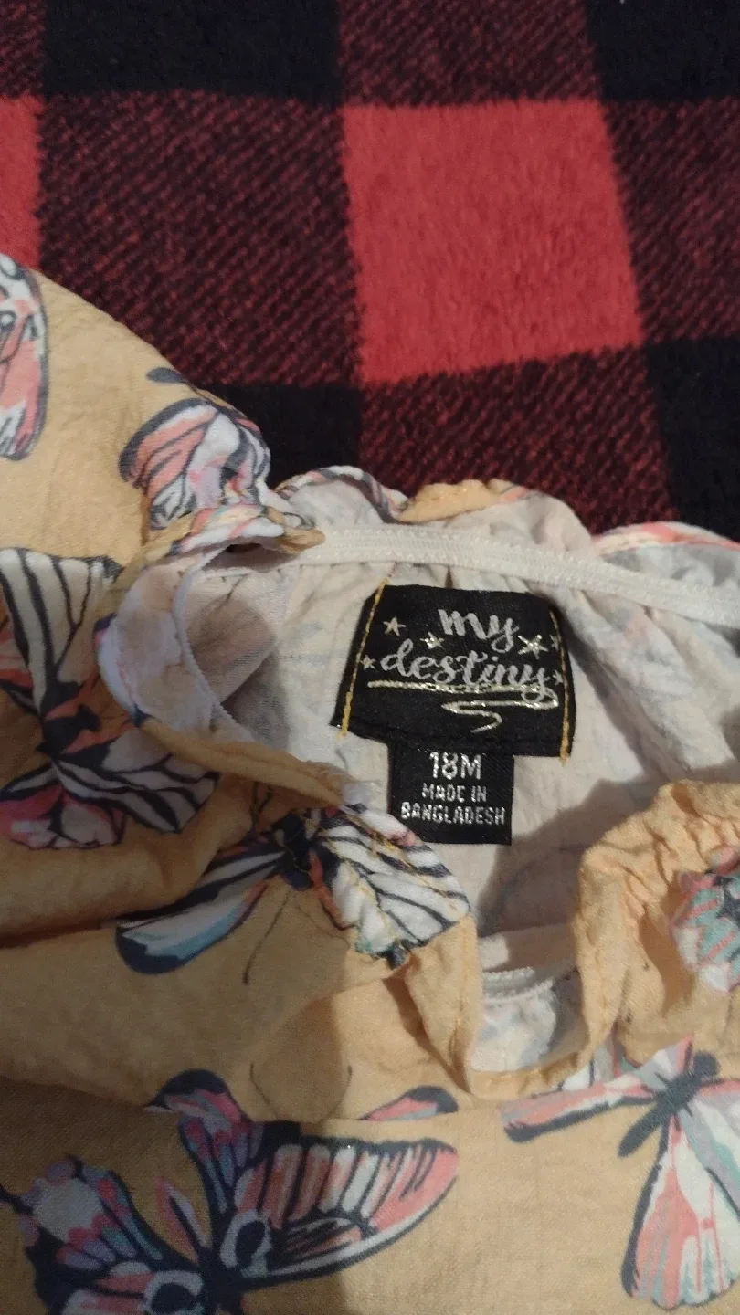 My Destiny 18M Butterfly Outfit image indicator(2)