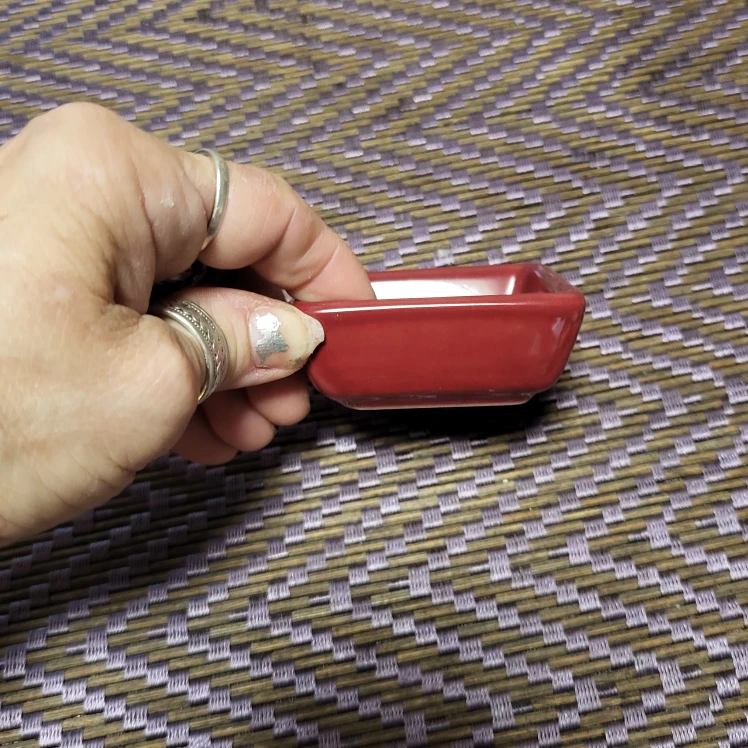 Simple Additions by Pampered Chef Dish - photo 3