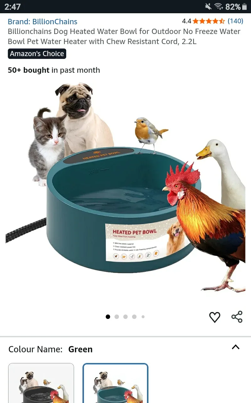 🆕 Billionchains Heated Water Bowl - Retails $35.99+Tx image indicator(2)