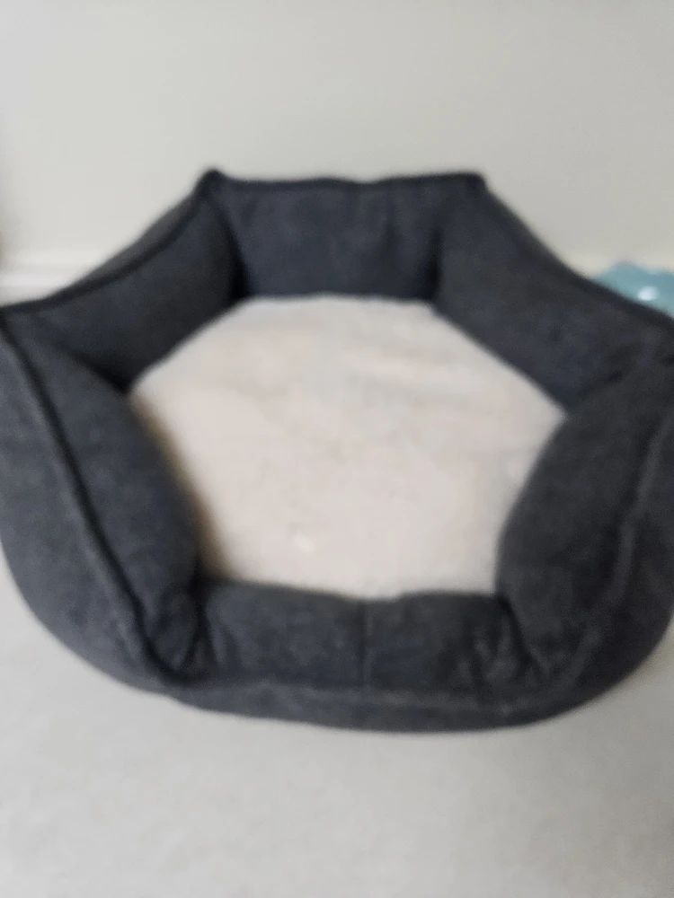 fun pet iteams - photo 2