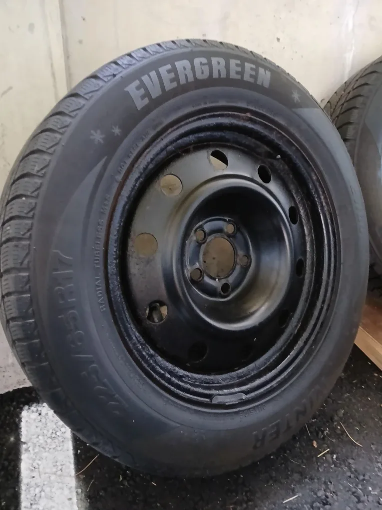 Evergreen Winter Radial Tires - 225/55R17 image indicator(2)