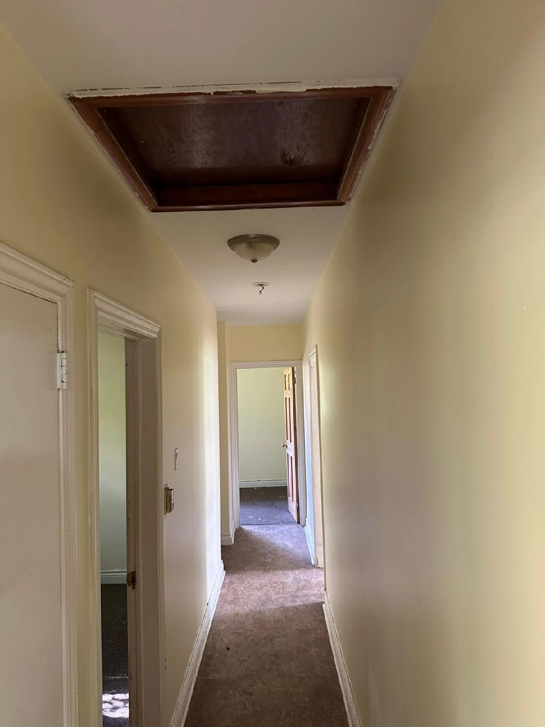 Room for rent in Waterloo for female - photo 3