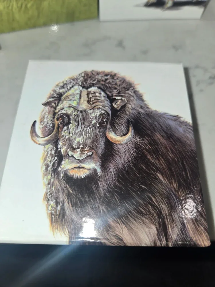 2013 Canada Muskox Silver Coin