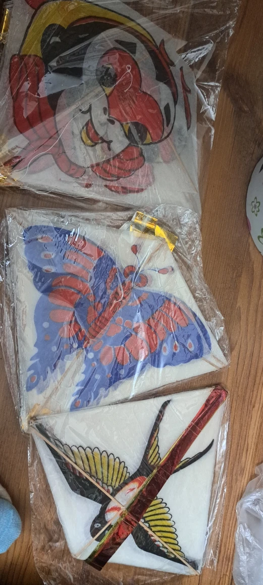 New Kites - Bird, Butterfly, Dragon Designs
