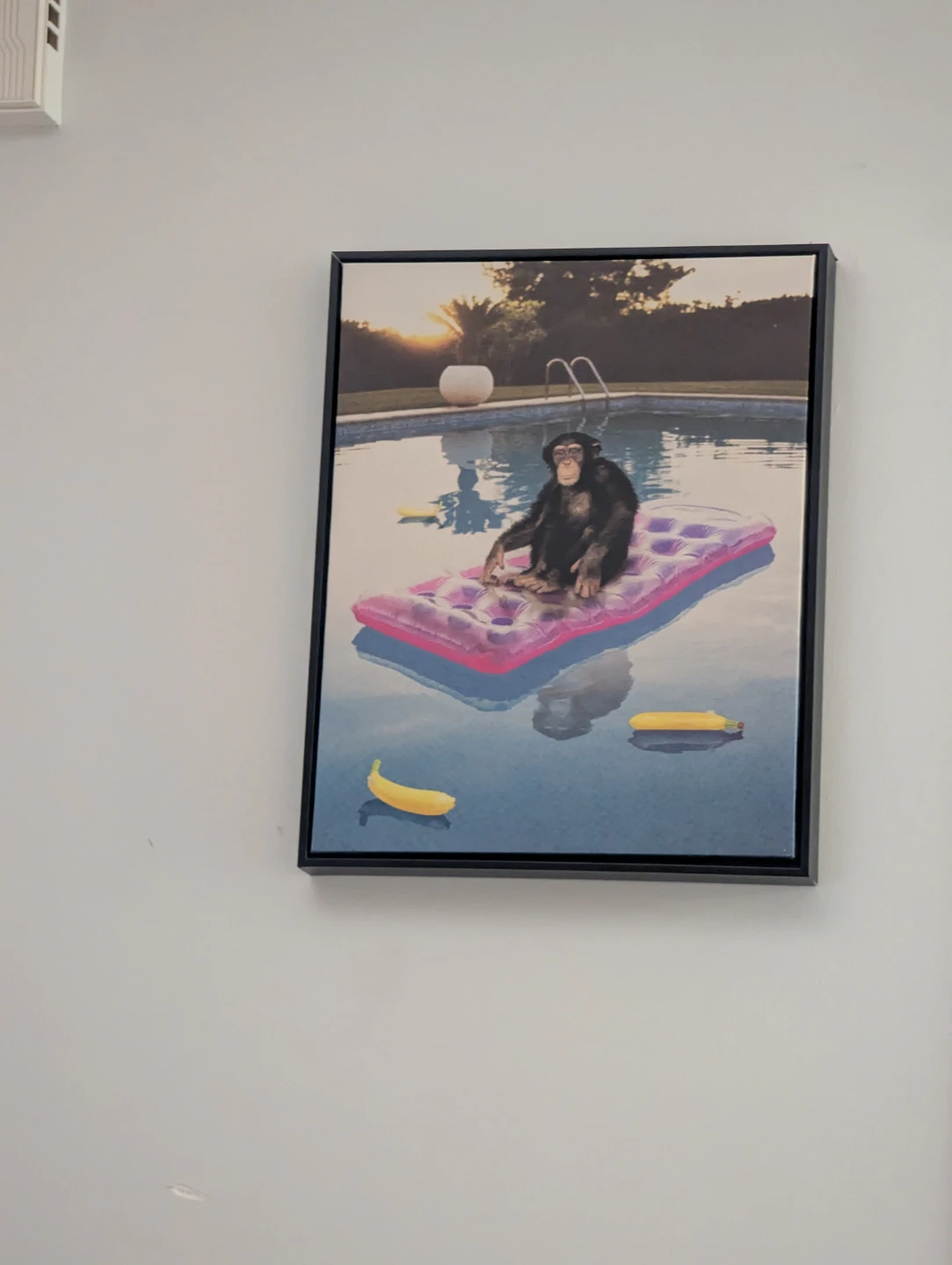Chimpanzee Poolside Art