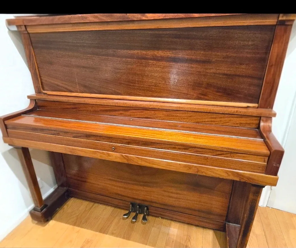 FREE PIANO 🥕 thumbnail