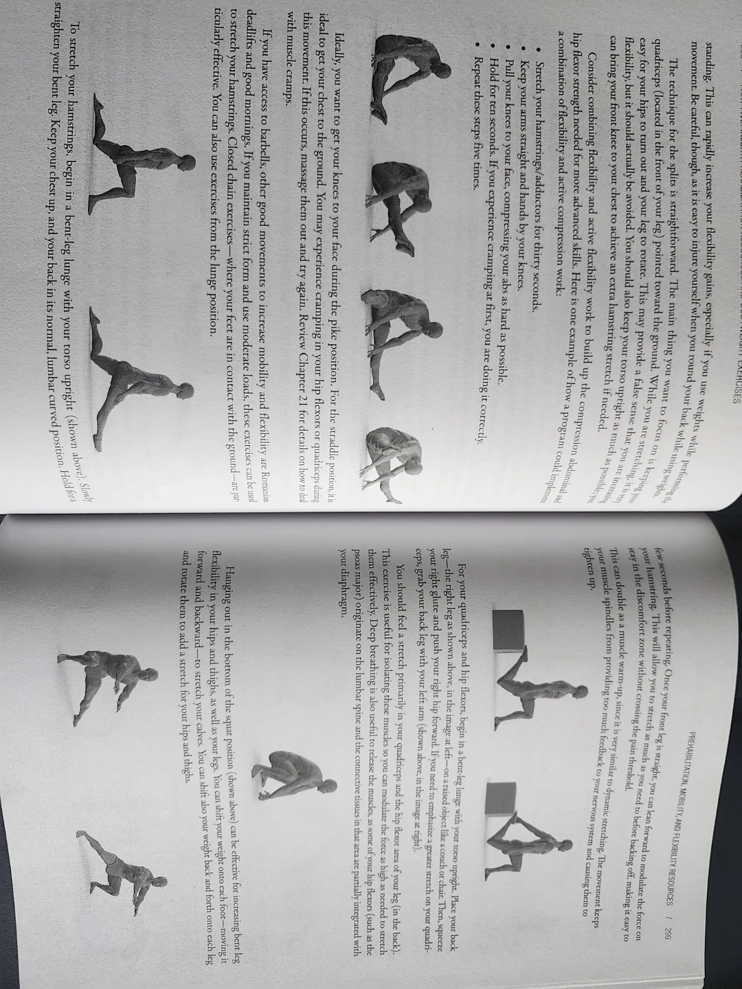 Overcoming Gravity: Gymnastics & Bodyweight Strength - photo 2