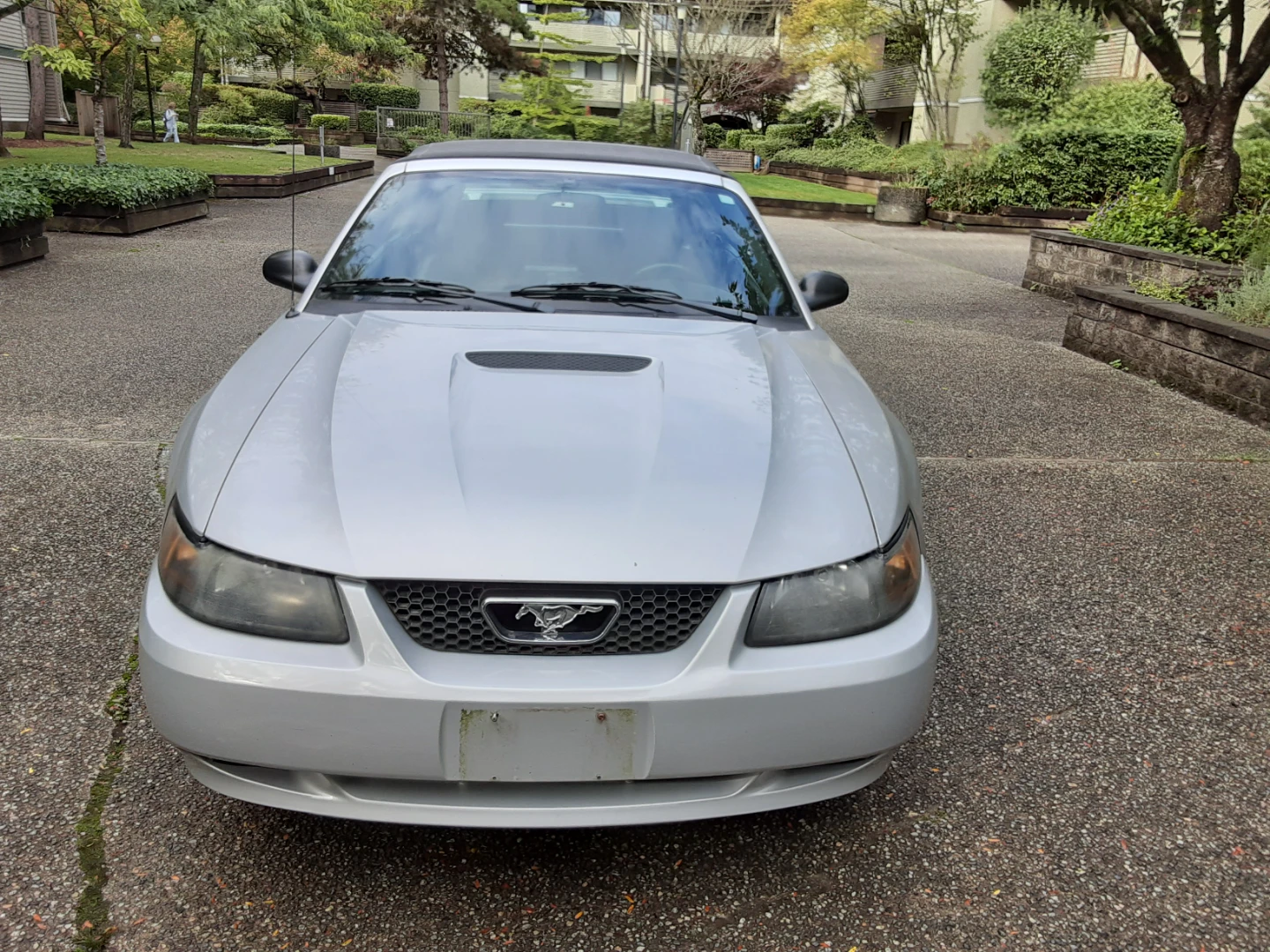 2002 Ford Mustang Covertible Low Kms Fully Loaded Rare Manual