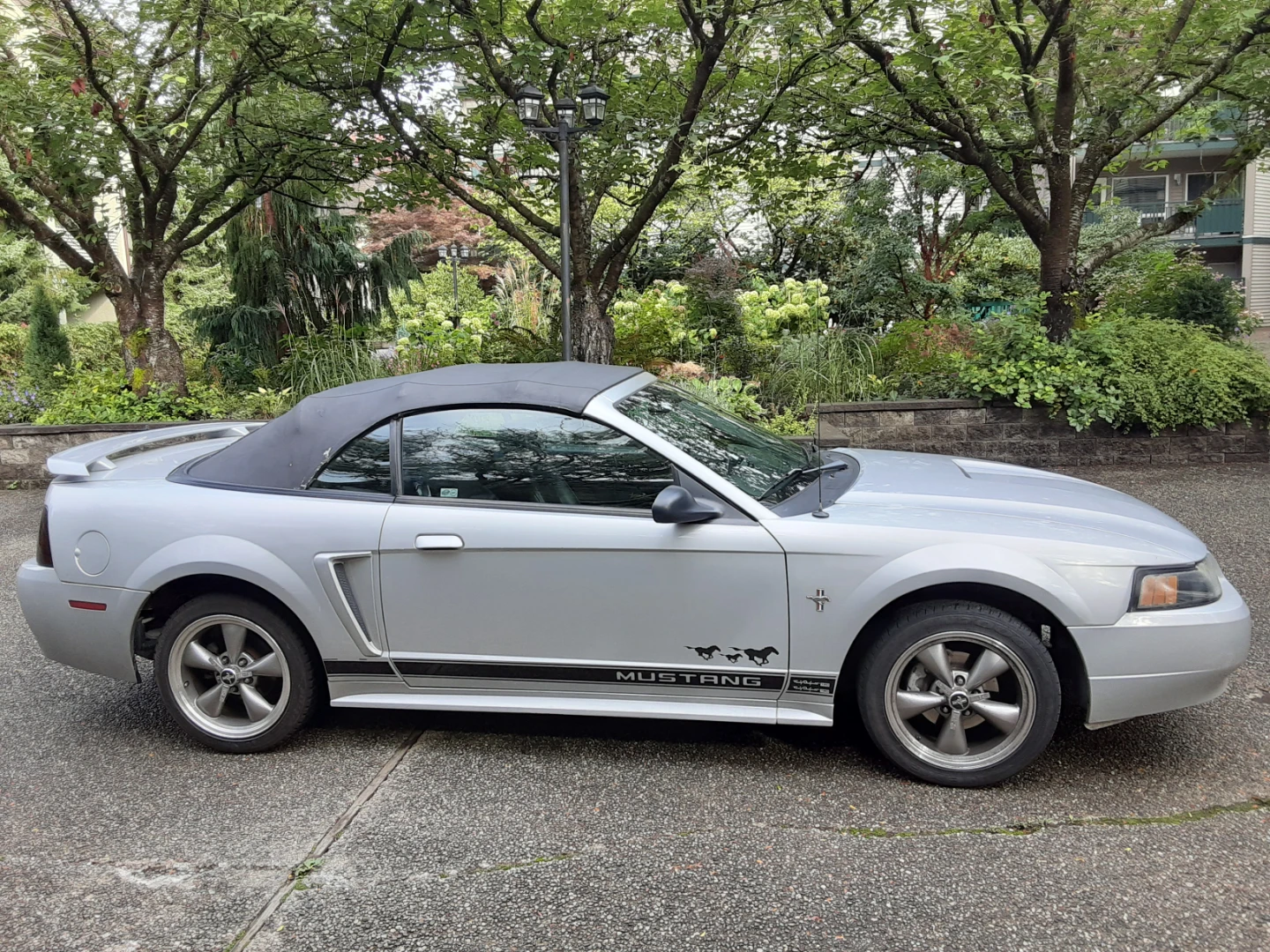 2002 Ford Mustang Covertible Low Kms Fully Loaded Rare Manual - photo 2