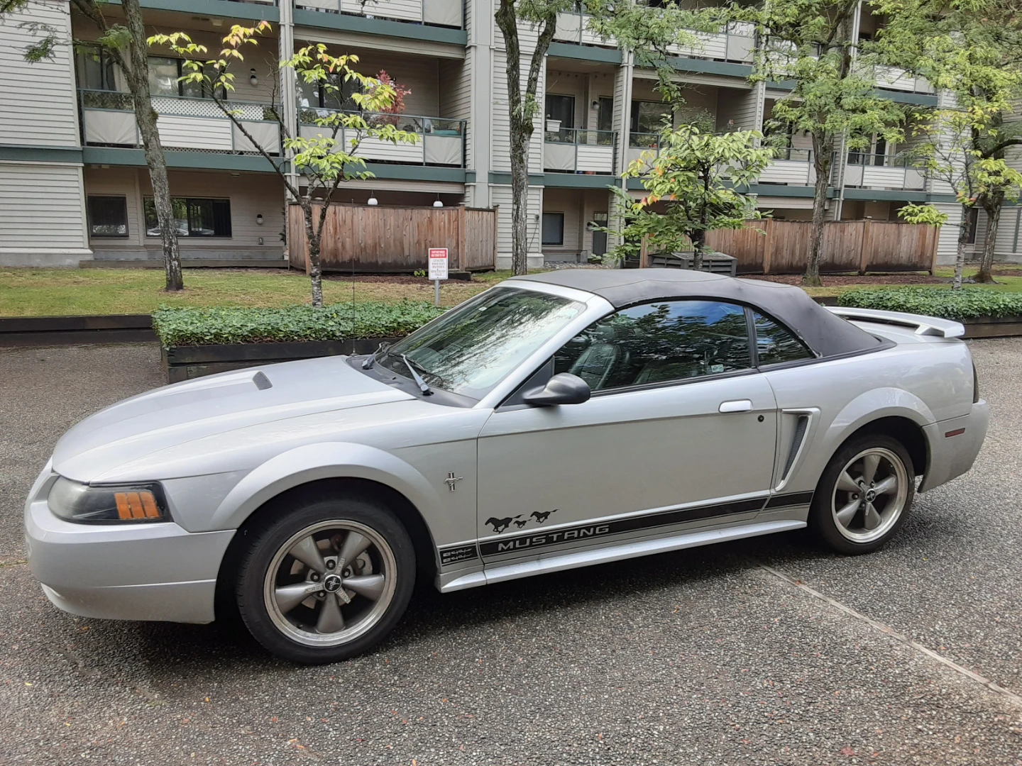 2002 Ford Mustang Covertible Low Kms Fully Loaded Rare Manual - photo 4