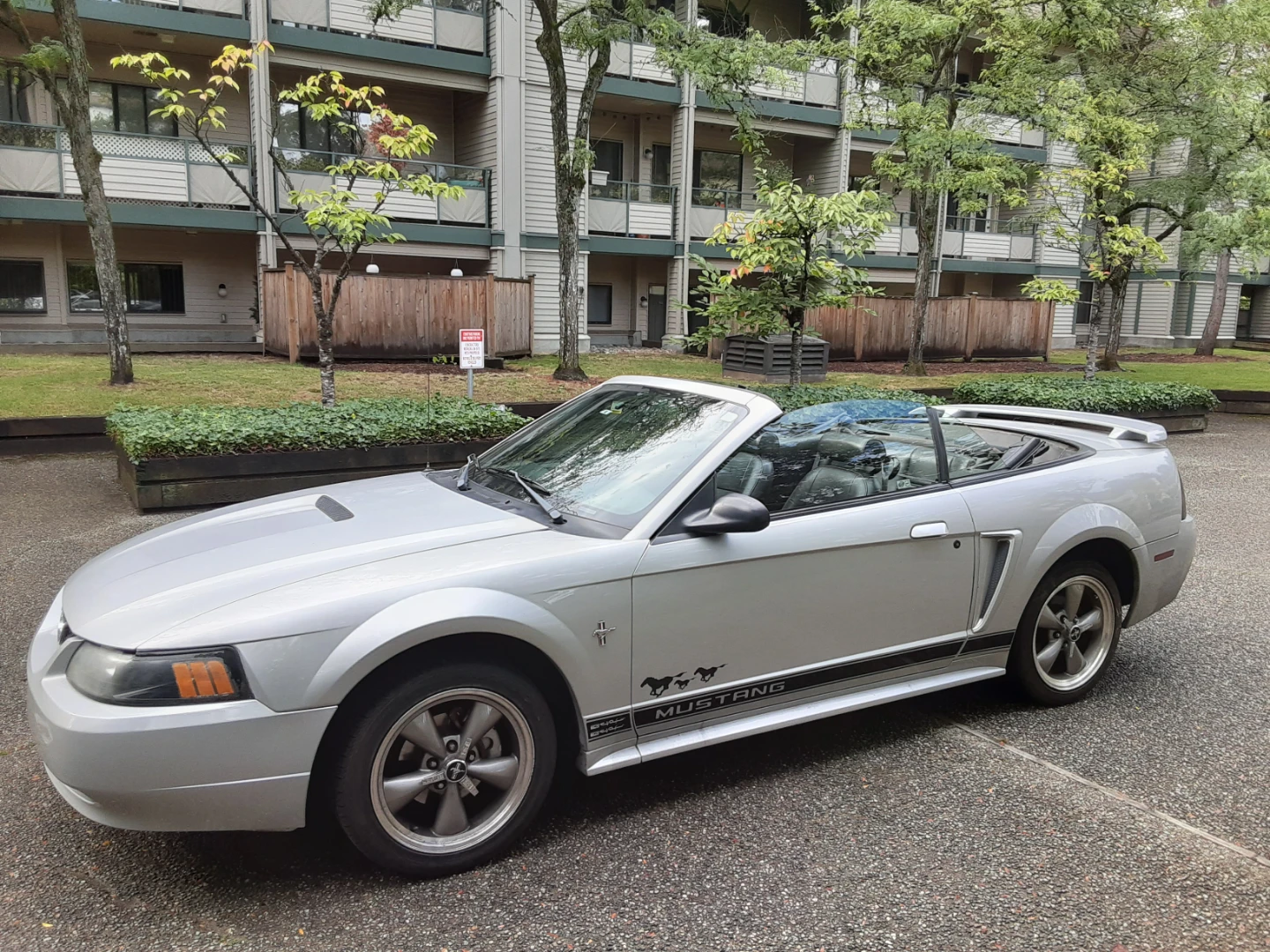 2002 Ford Mustang Covertible Low Kms Fully Loaded Rare Manual - photo 5