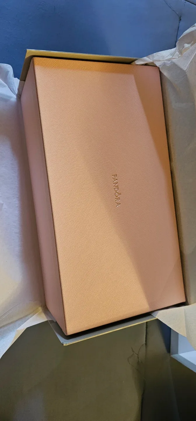 Pandora Pink Jewellery Box with Mirror image indicator(4)