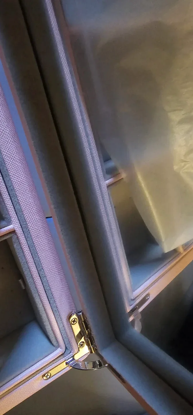 Pandora Pink Jewellery Box with Mirror image indicator(6)