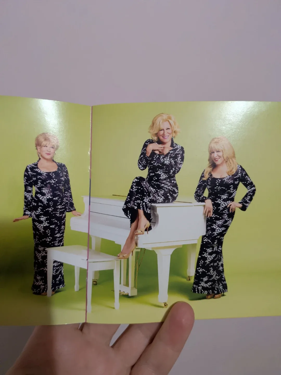 Bette Midler - It's The Girls! CD image indicator(5)