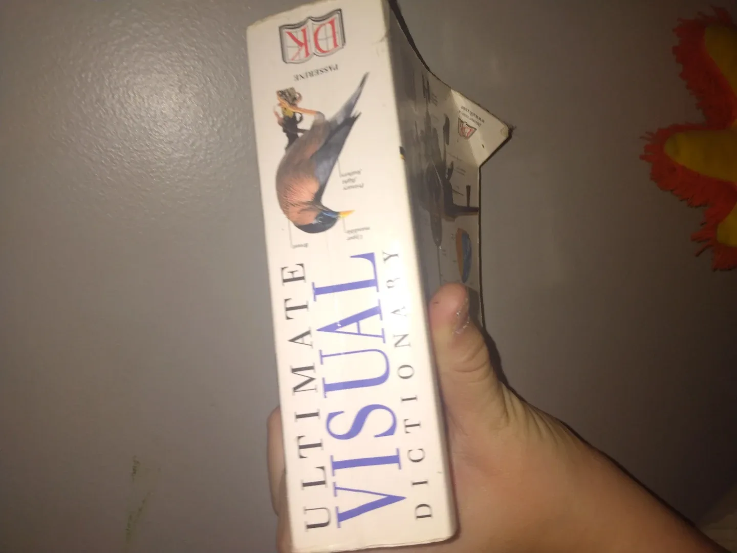 DK Ultimate Visual Dictionary image indicator(2)