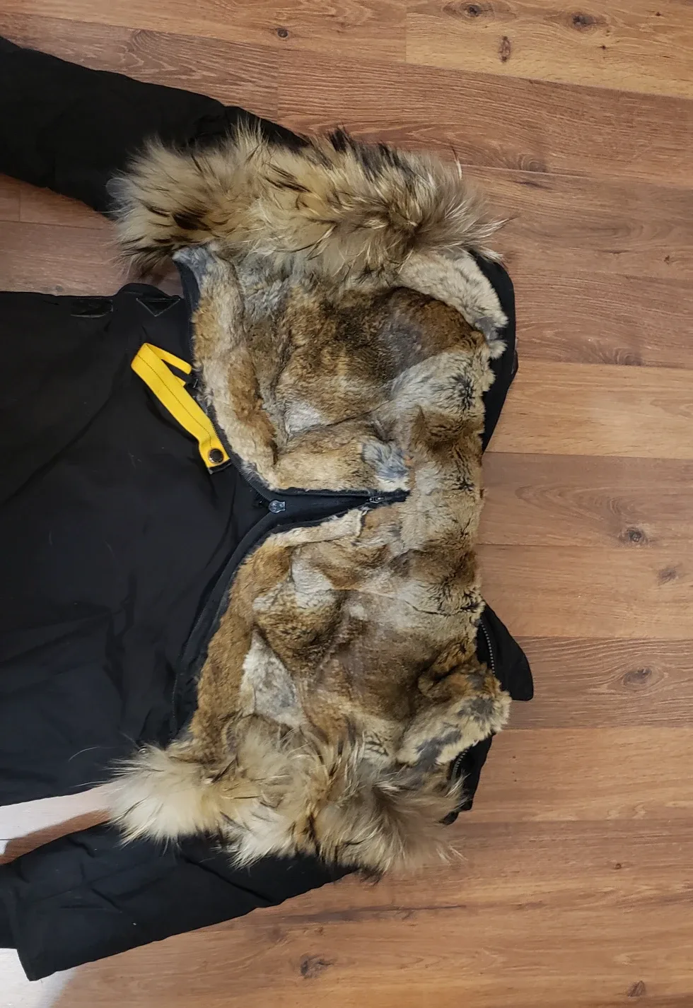 Parajumpers Kodiak Jacket - Woman Size XS~S image indicator(7)