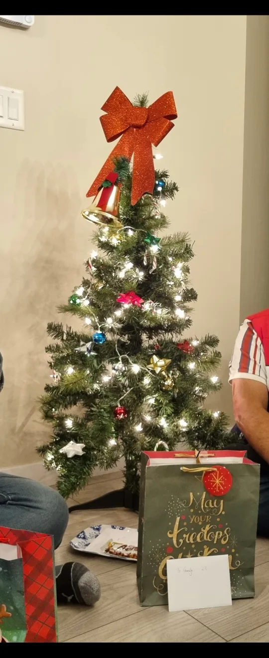 Christmas Tree pre-lit 4' image indicator(3)